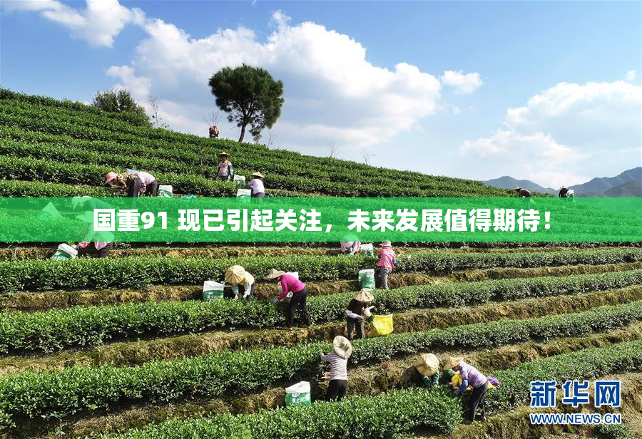 国重91 现已引起关注，未来发展值得期待！