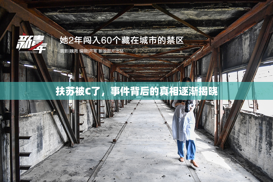 扶苏被C了，事件背后的真相逐渐揭晓