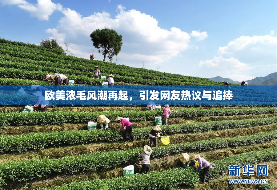 欧美浓毛风潮再起，引发网友热议与追捧