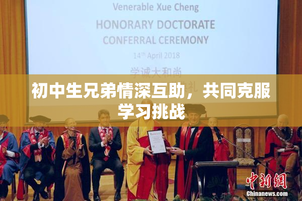 初中生兄弟情深互助，共同克服学习挑战