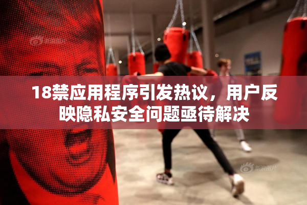 18禁应用程序引发热议，用户反映隐私安全问题亟待解决