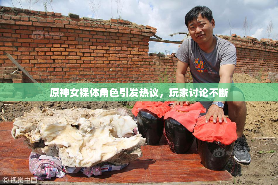 原神女裸体角色引发热议，玩家讨论不断