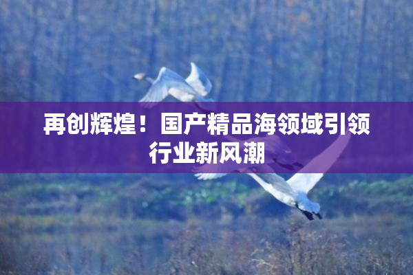 再创辉煌！国产精品海领域引领行业新风潮
