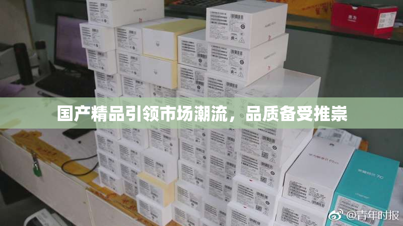 国产精品引领市场潮流，品质备受推崇