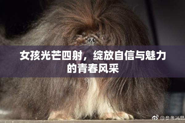 女孩光芒四射，绽放自信与魅力的青春风采