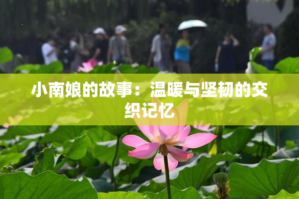 小南娘的故事：温暖与坚韧的交织记忆