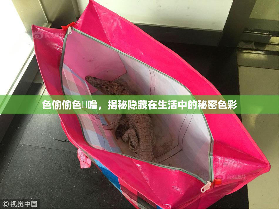 色偷偷色嚕噜，揭秘隐藏在生活中的秘密色彩