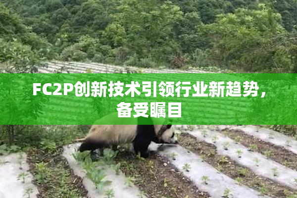 FC2P创新技术引领行业新趋势，备受瞩目