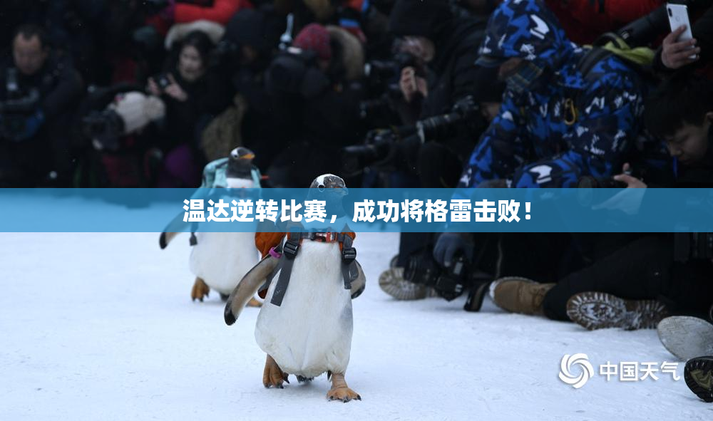 温达逆转比赛，成功将格雷击败！