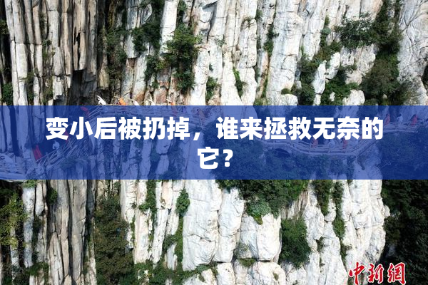 变小后被扔掉，谁来拯救无奈的它？