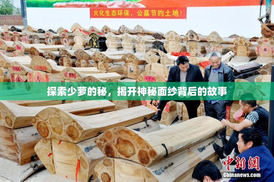 探索少萝的秘，揭开神秘面纱背后的故事