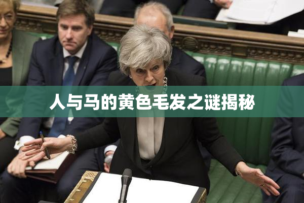 人与马的黄色毛发之谜揭秘