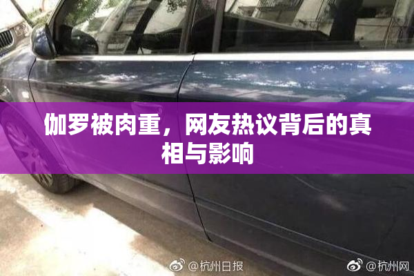 伽罗被肉重，网友热议背后的真相与影响