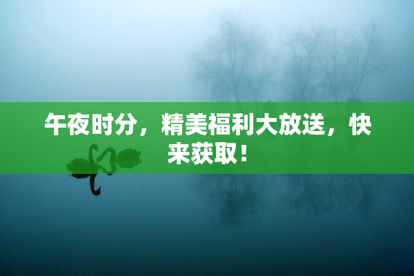 午夜时分，精美福利大放送，快来获取！