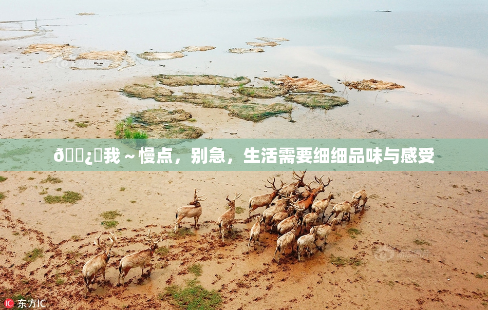 🌿‌我～慢点，别急，生活需要细细品味与感受