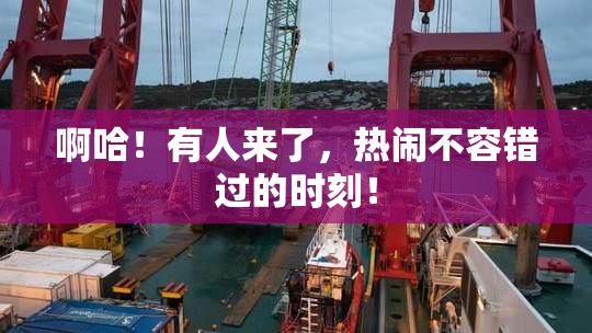 啊哈！有人来了，热闹不容错过的时刻！