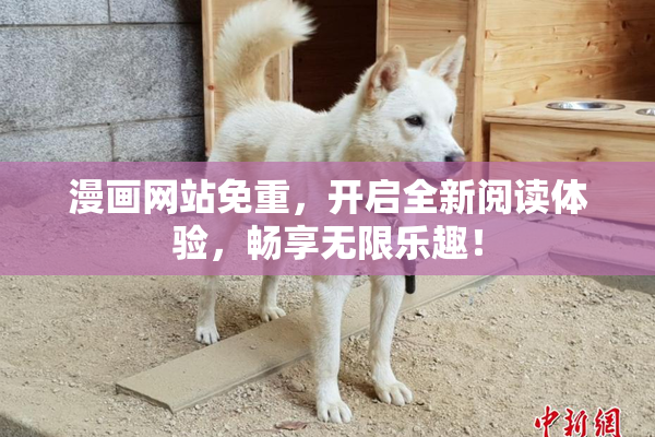 漫画网站免重，开启全新阅读体验，畅享无限乐趣！