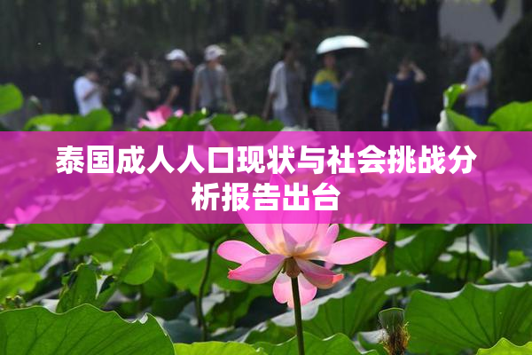 泰国成人人口现状与社会挑战分析报告出台