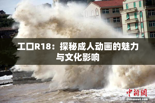 工口R18：探秘成人动画的魅力与文化影响
