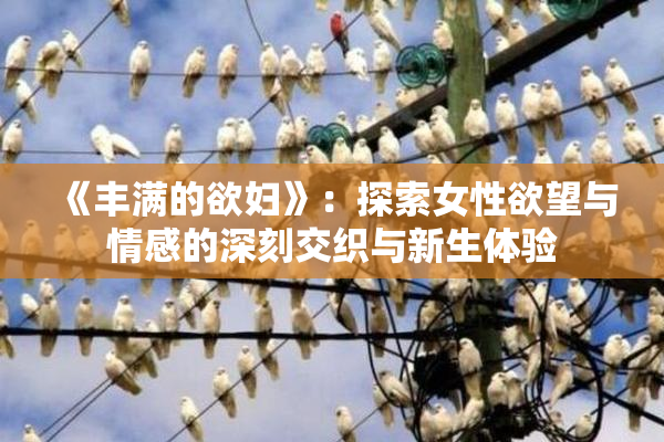 《丰满的欲妇》：探索女性欲望与情感的深刻交织与新生体验