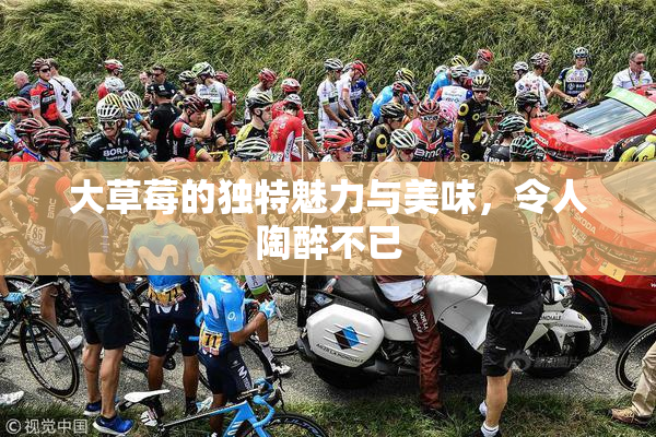 大草莓的独特魅力与美味，令人陶醉不已