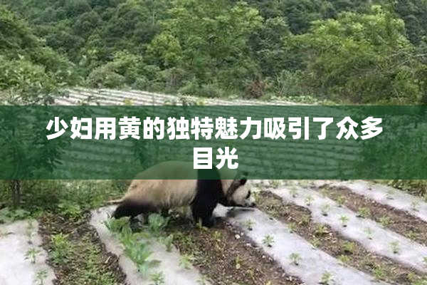 少妇用黄的独特魅力吸引了众多目光