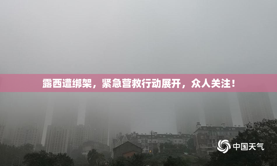 露西遭绑架，紧急营救行动展开，众人关注！