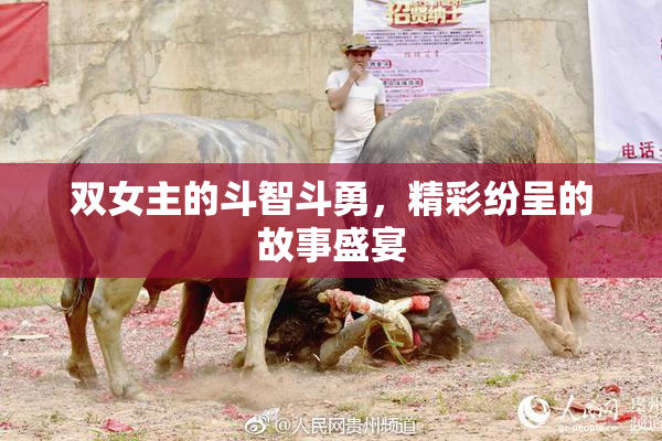 双女主的斗智斗勇，精彩纷呈的故事盛宴