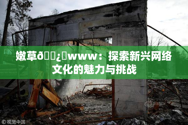 嫩草🌿‌www：探索新兴网络文化的魅力与挑战