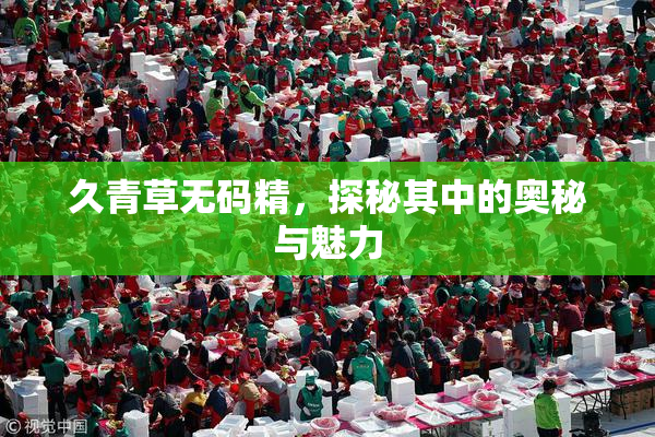 久青草无码精，探秘其中的奥秘与魅力