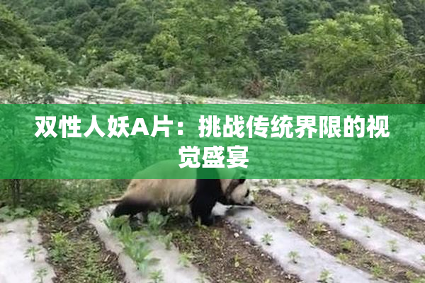 双性人妖A片：挑战传统界限的视觉盛宴