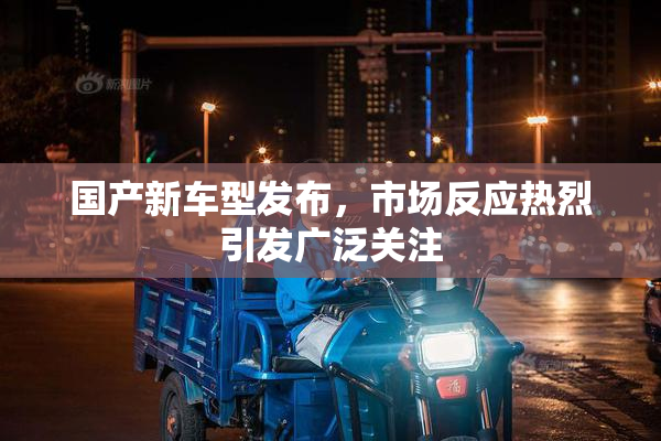 国产新车型发布，市场反应热烈引发广泛关注