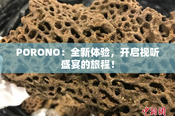 PORONO：全新体验，开启视听盛宴的旅程！