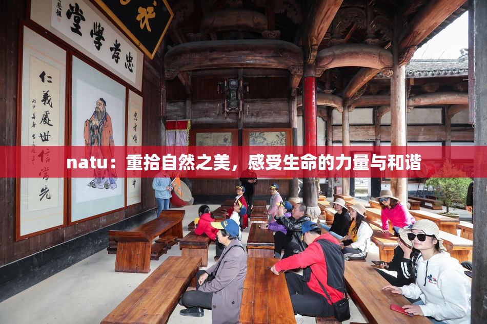 natu：重拾自然之美，感受生命的力量与和谐