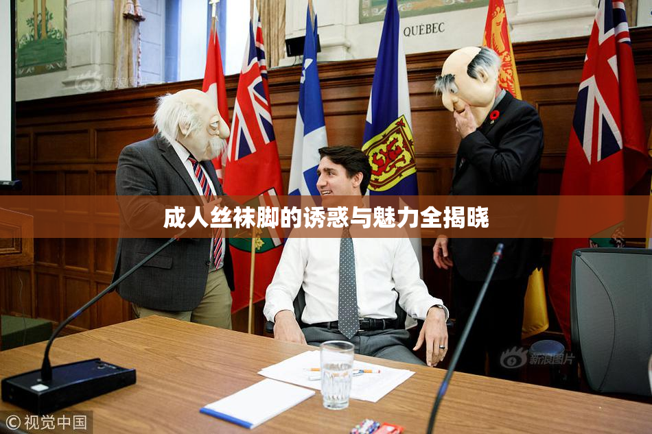 成人丝袜脚的诱惑与魅力全揭晓