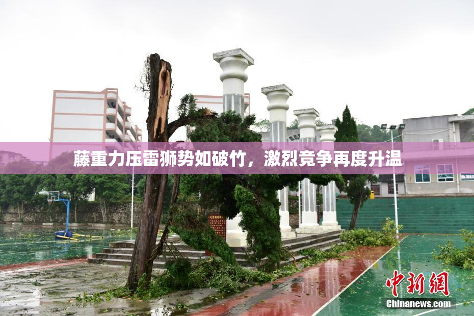 藤重力压雷狮势如破竹，激烈竞争再度升温