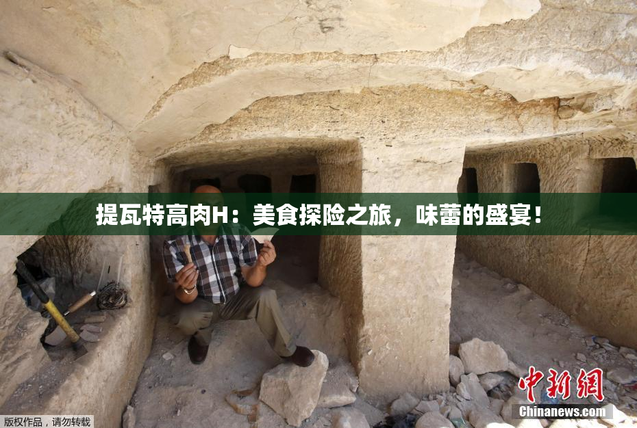 提瓦特高肉H：美食探险之旅，味蕾的盛宴！