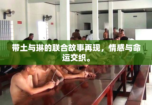 带土与琳的联合故事再现，情感与命运交织。