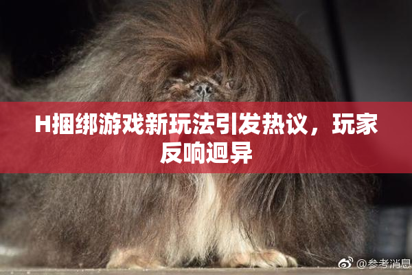 H捆绑游戏新玩法引发热议，玩家反响迥异