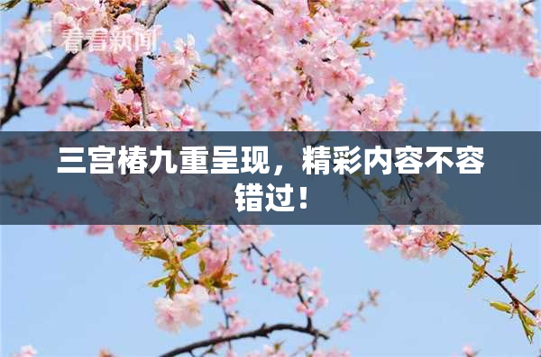三宫椿九重呈现，精彩内容不容错过！