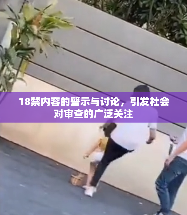 18禁内容的警示与讨论，引发社会对审查的广泛关注