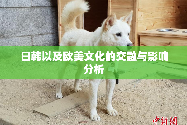 日韩以及欧美文化的交融与影响分析
