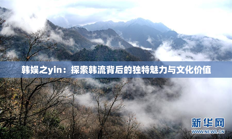 韩娱之yin：探索韩流背后的独特魅力与文化价值