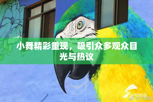 小舞精彩重现，吸引众多观众目光与热议