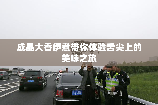 成品大香伊煮带你体验舌尖上的美味之旅