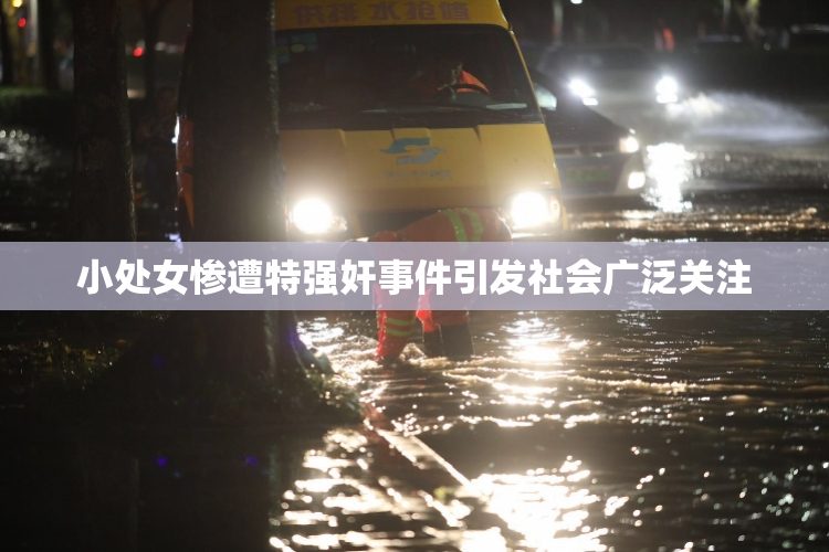 小处女惨遭特强奸事件引发社会广泛关注