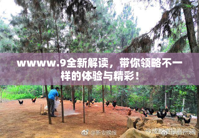 wwww.9全新解读，带你领略不一样的体验与精彩！