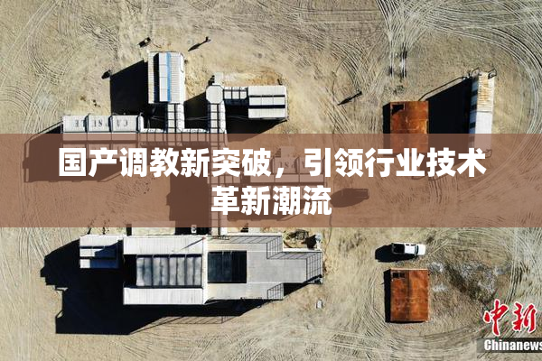 国产调教新突破，引领行业技术革新潮流