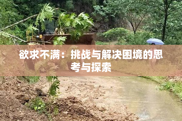 欲求不满：挑战与解决困境的思考与探索