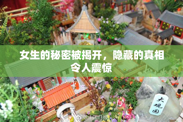 女生的秘密被揭开，隐藏的真相令人震惊